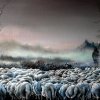 Schapen op de Veluwe